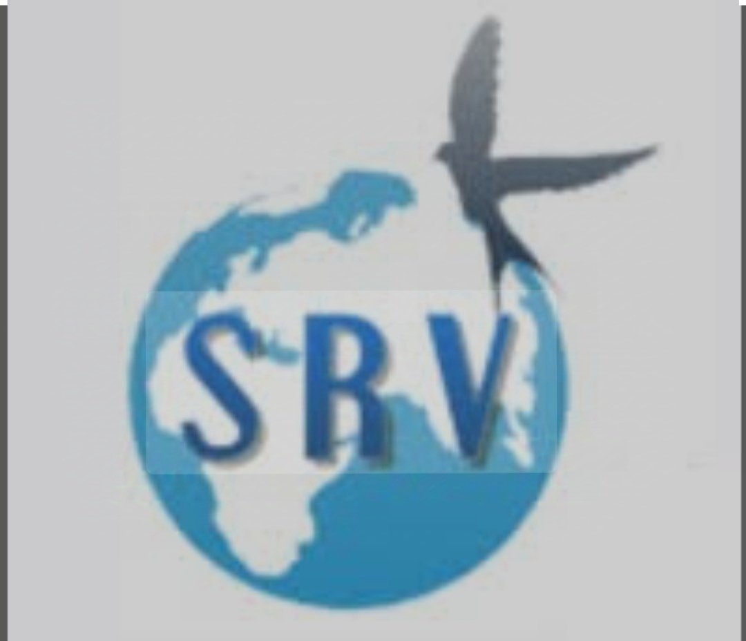 SRV GLOBAL FREIGHT PVT LTD IN COMPANY 206